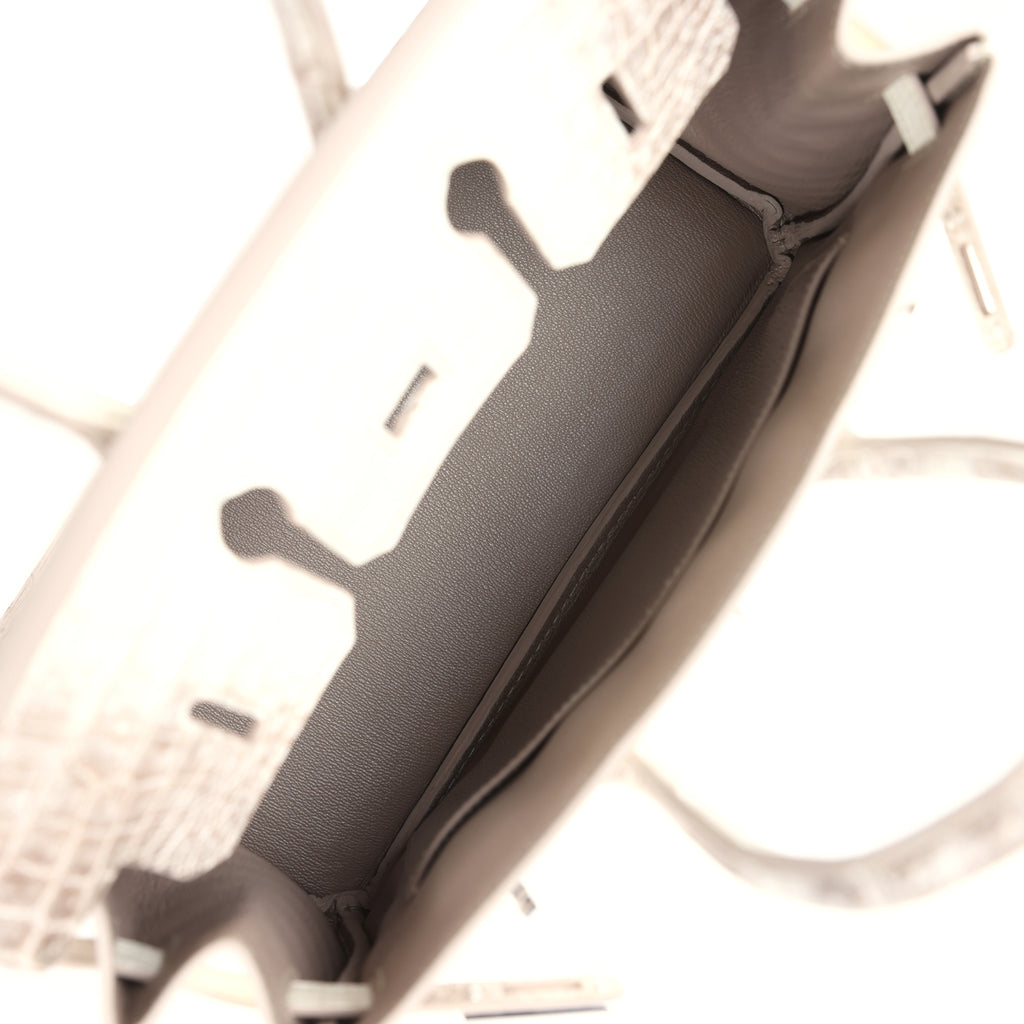 Hermes Birkin 25 Himalaya Niloticus Crocodile Diamond Encrusted Palladium Hardware - Image 11