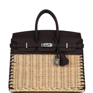 Hermes Picnic Birkin 25 Rouge Sellier Swift Palladium Hardware