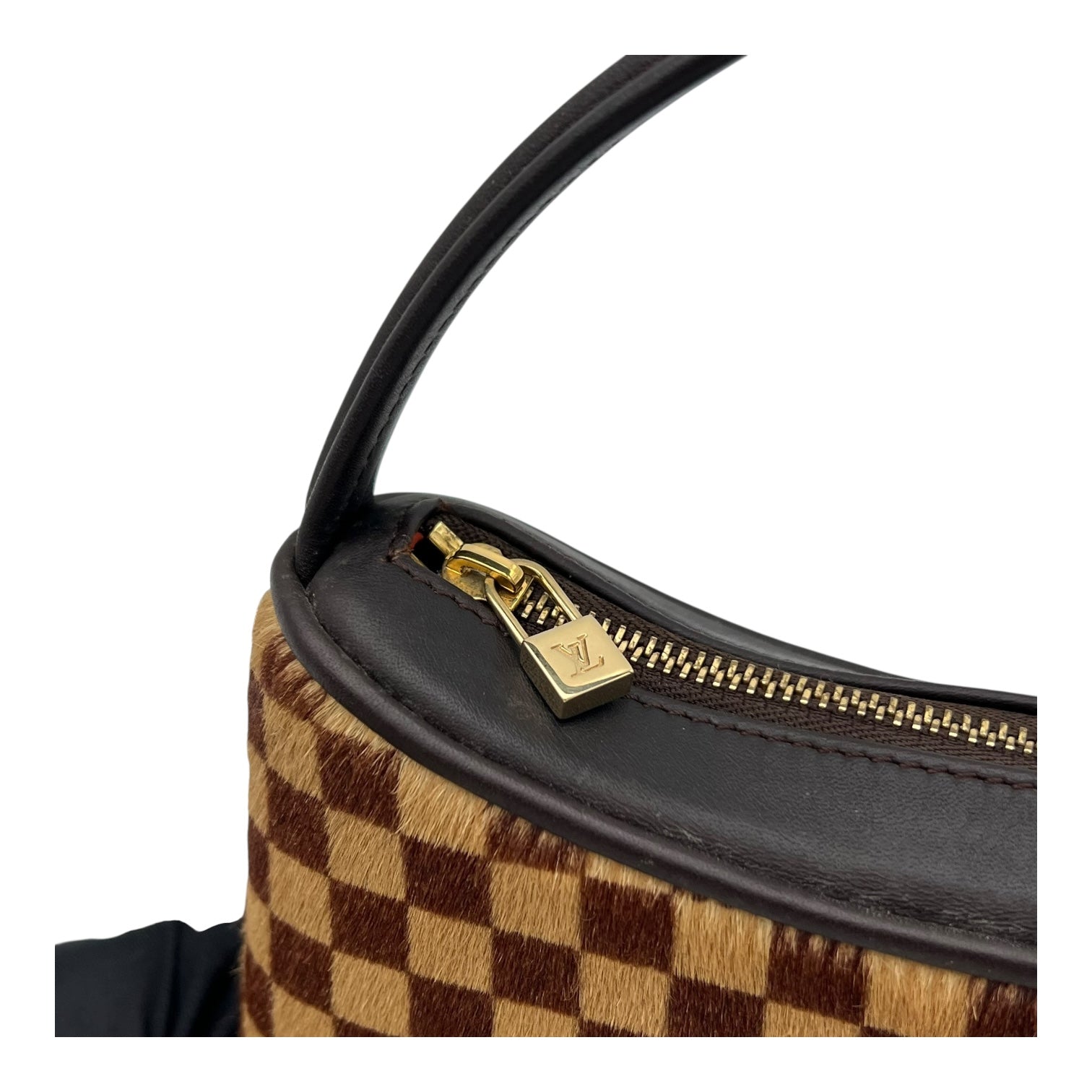 Damier Sauvage Tigre Brown Top Handle Bag in Pony Hair, Gold hardware - Image 9