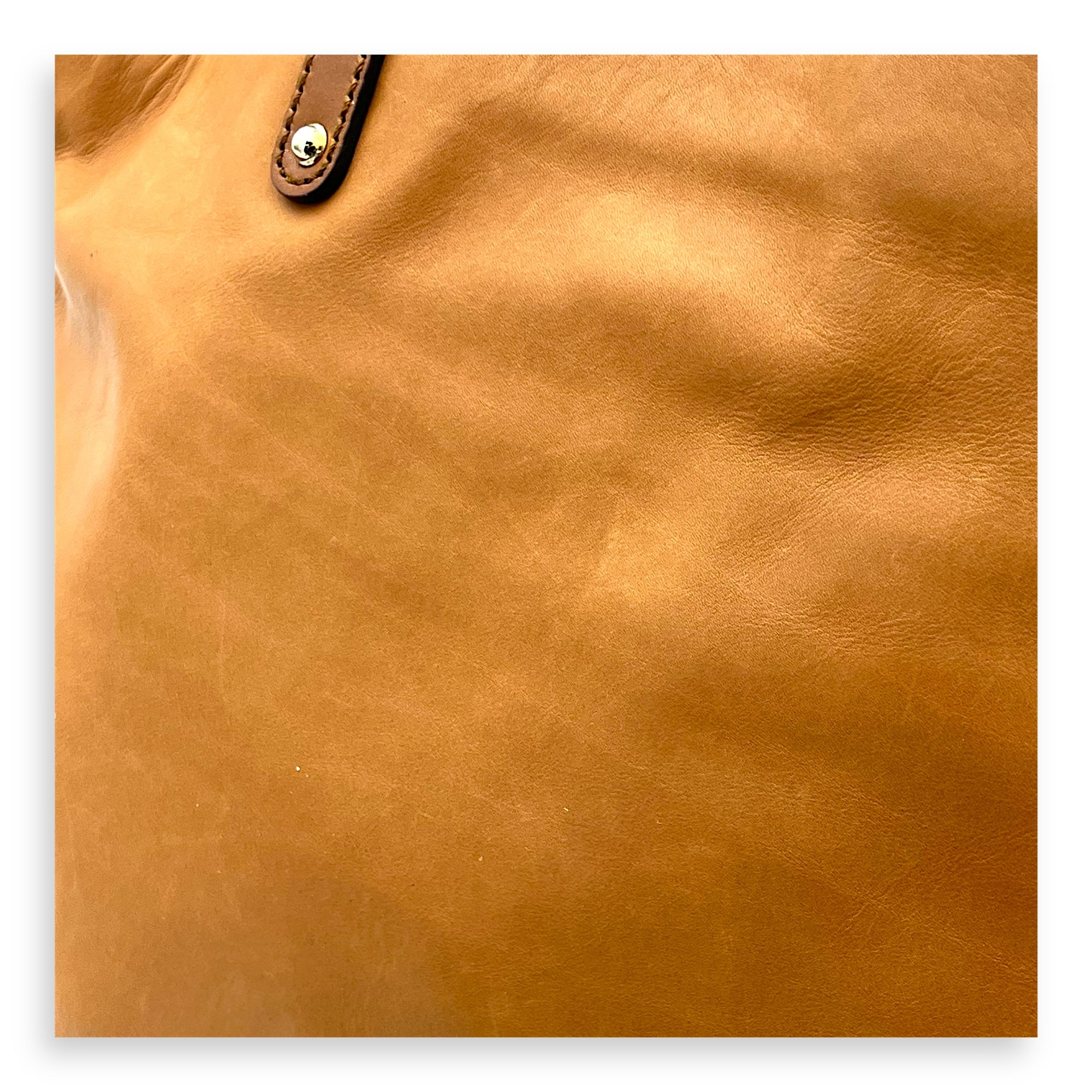 GG Tote Bag Brown in Calfskin, Gold hardware - Image 14