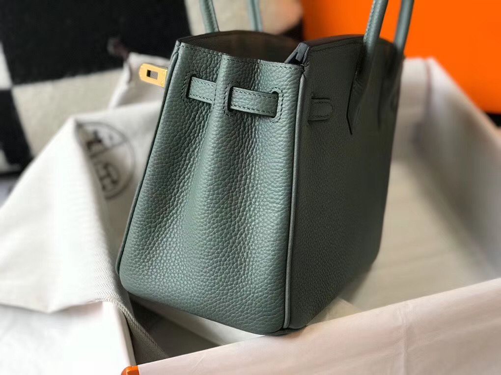 Hermes Birkin 25cm Bag In Vert Amande Clemence Leather GHW - Image 4