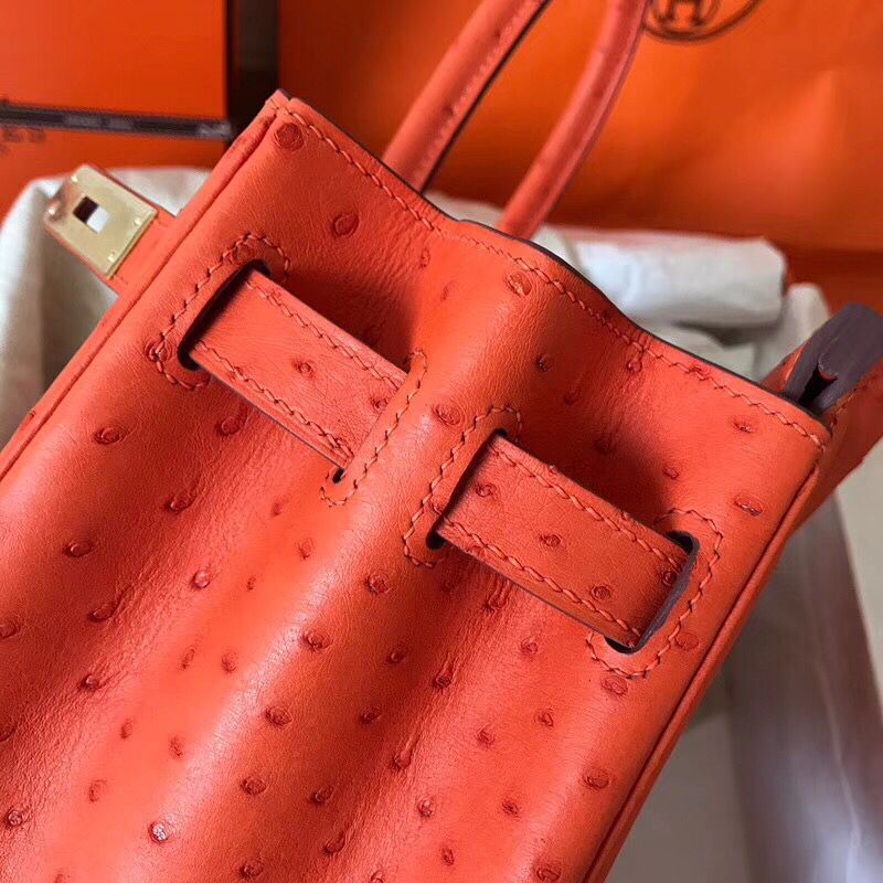 Hermes Birkin 30 Handmade Bag In Orange Ostrich Skin - Image 5