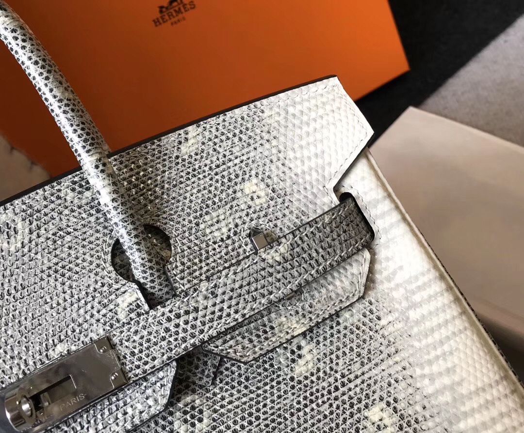 Hermes Birkin 25cm Bag In Ombre Embossed Natural Lizard - Image 5