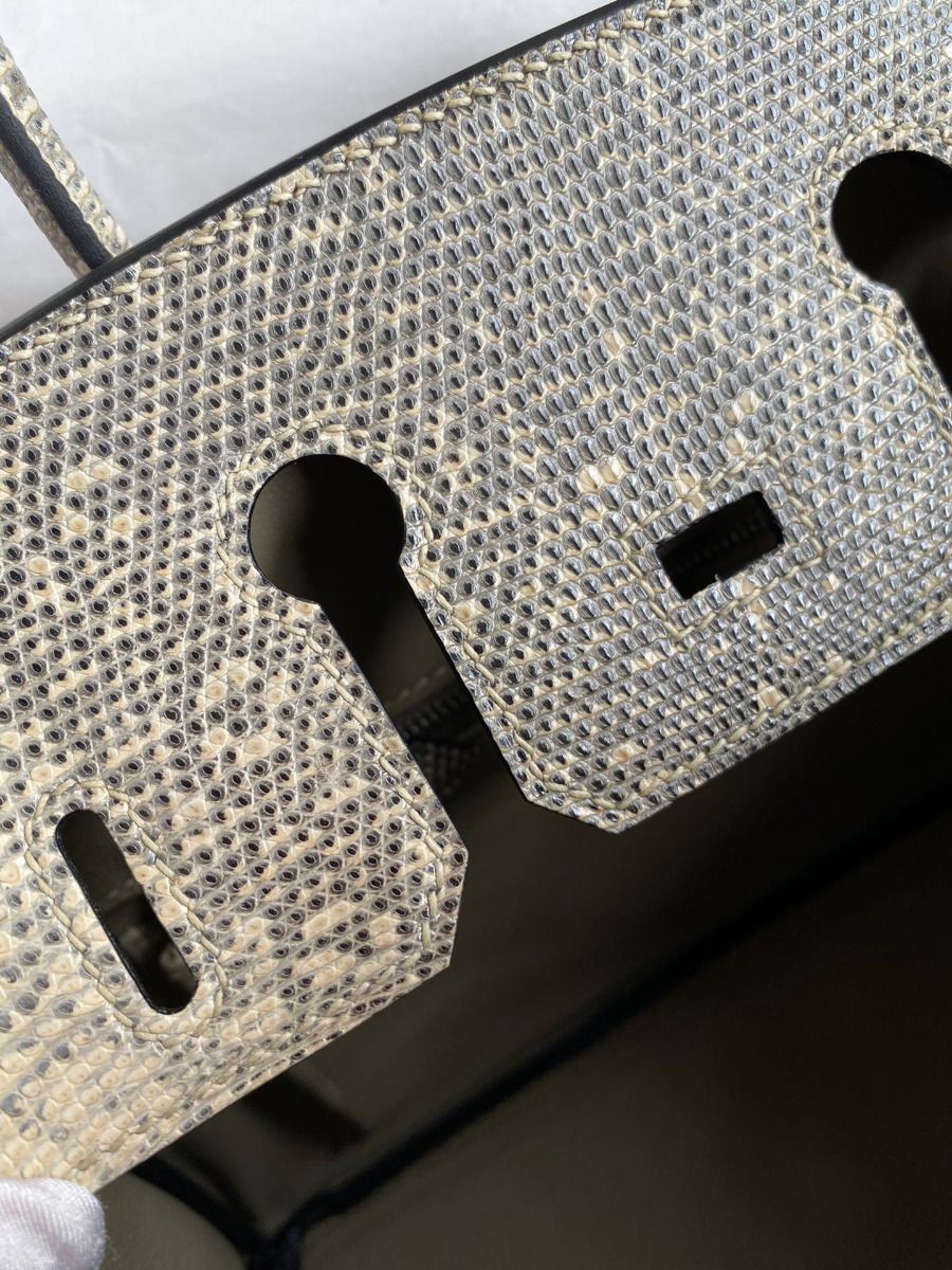 Hermes Birkin 25 Retourne Handmade Bag In Ombre Lizard Leather - Image 9