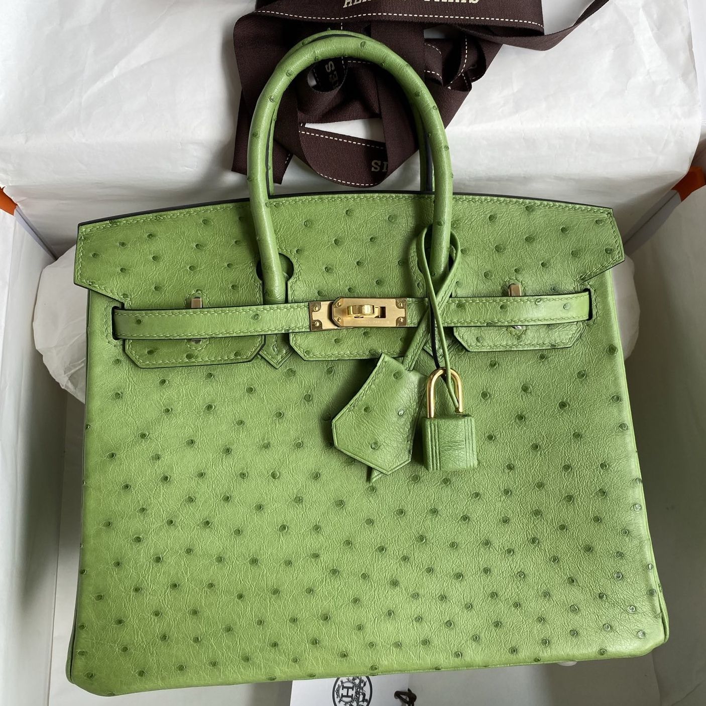 Hermes Birkin 25 Retourne Handmade Bag in Vert Criquet Ostrich Leather