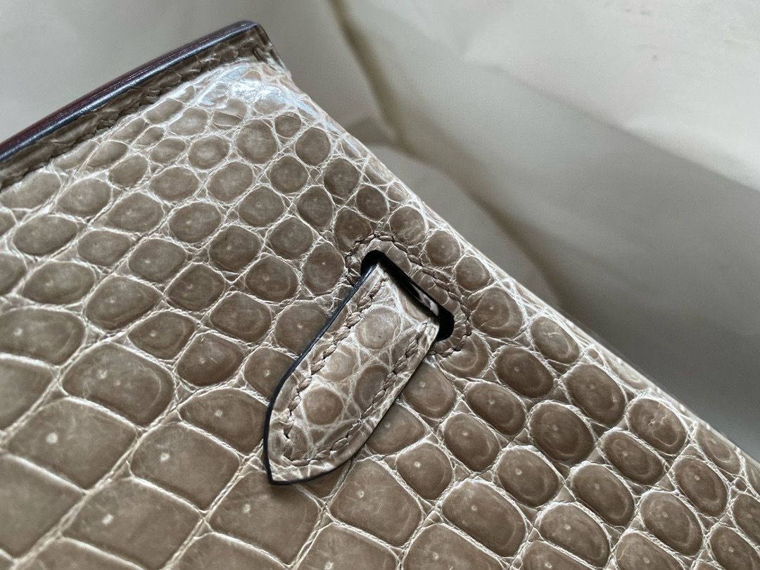 Hermes Birkin 25 Handmade Bag in Tourterelle Porosus Crocodile Shiny Skin - Image 7