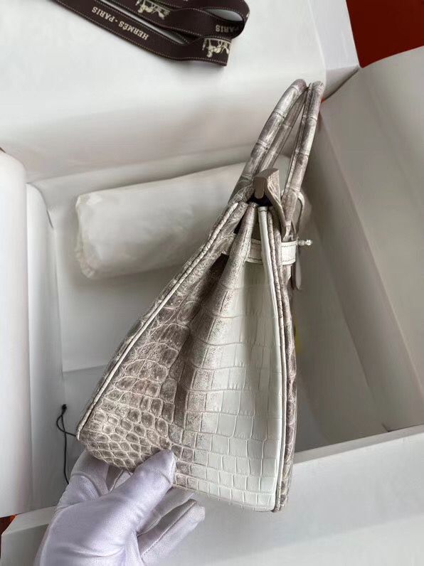 Hermes Diamond Birkin 25cm In Himalaya Niloticus Crocodile Skin - Image 6
