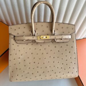 Hermes Birkin 25 SellierHandmade Bag in Chai Ostrich Leather