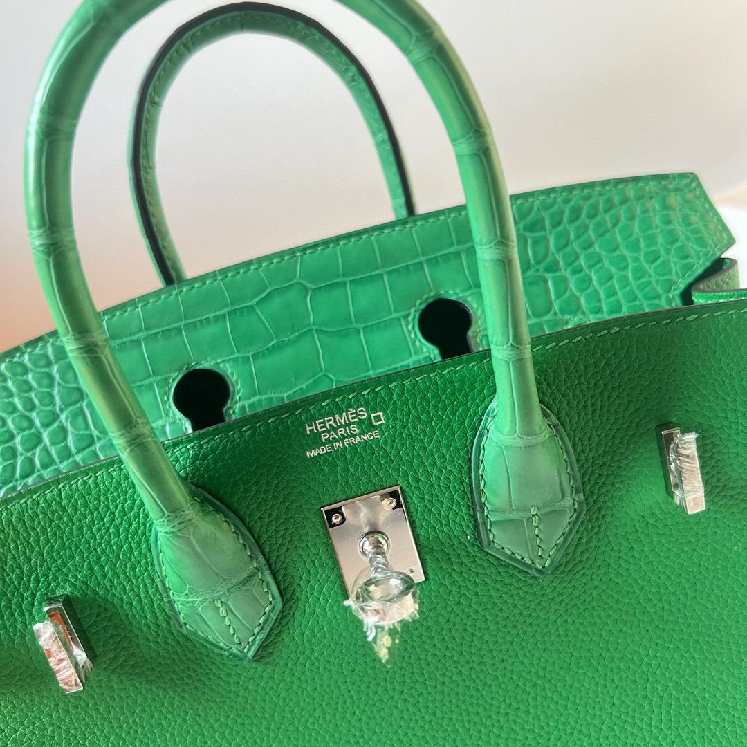 Hermes Touch Birkin 25 Bag in Bambou Clemence and Shiny Alligator Leather - Image 4